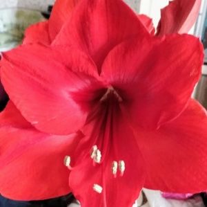 Meet your Posher, Marianne